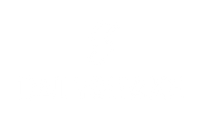 Daily Shake - Premium Wellness