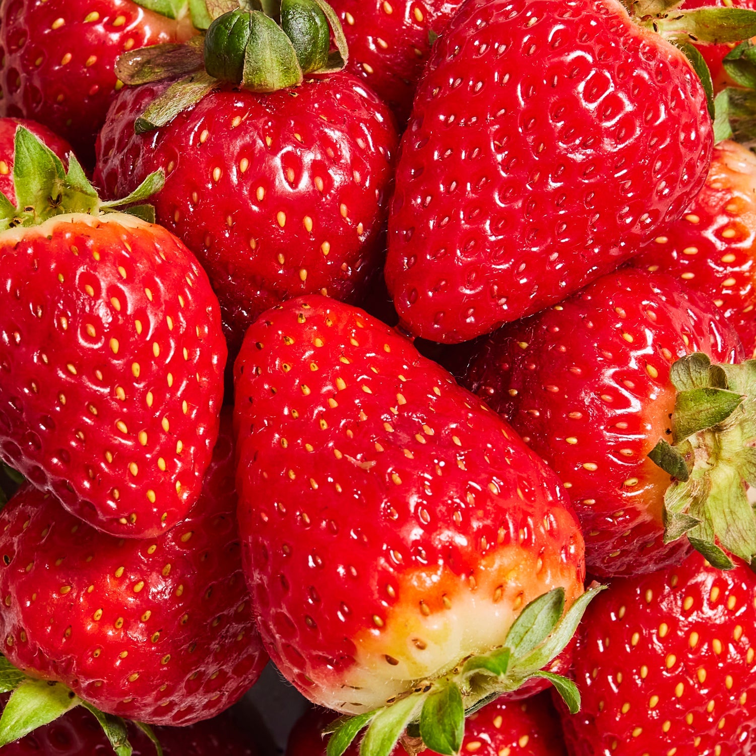 Strawberry Cheesecake Daily Shake