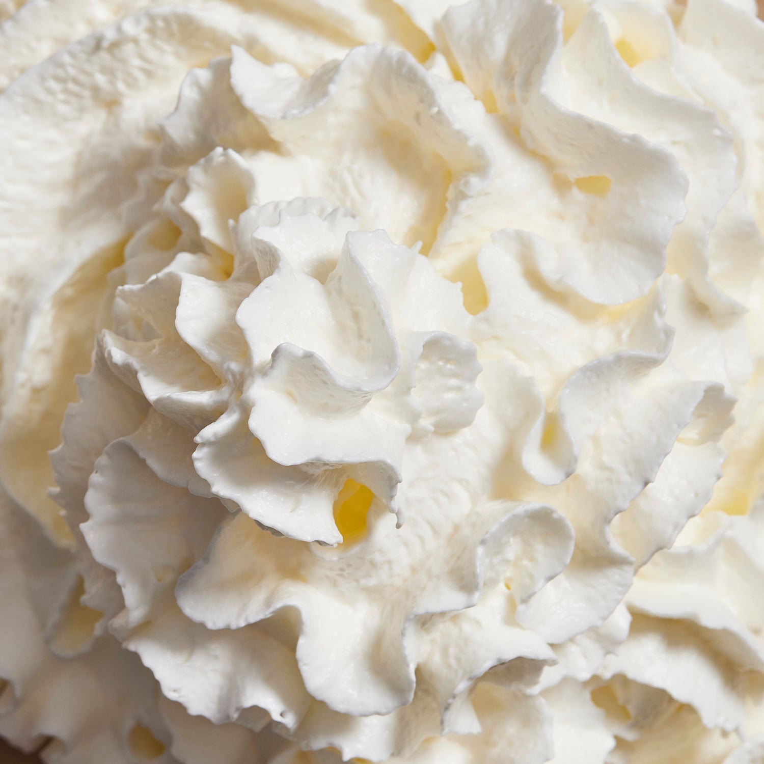 Daily Shake Vanilla Creme