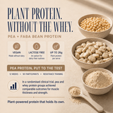 Coconut Pudding x10 Sachet Pack pea and faba bean plant protein benefits with up to 26g protein per serve