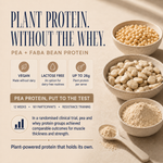 Mango Lassi x10 Sachet Pack pea and faba bean plant protein benefits with up to 26g protein per serve